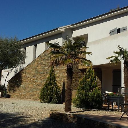 U Muzzelo Bed & Breakfast Oletta  Exterior foto